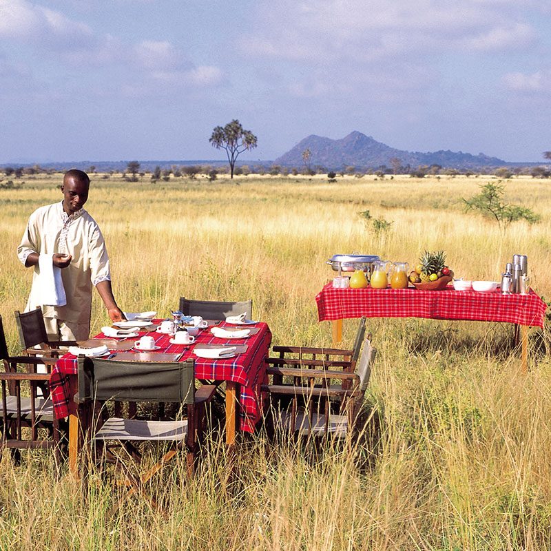 1596785953Safaris-Okavango-Kenya-Parc-Meru-Galerie-2