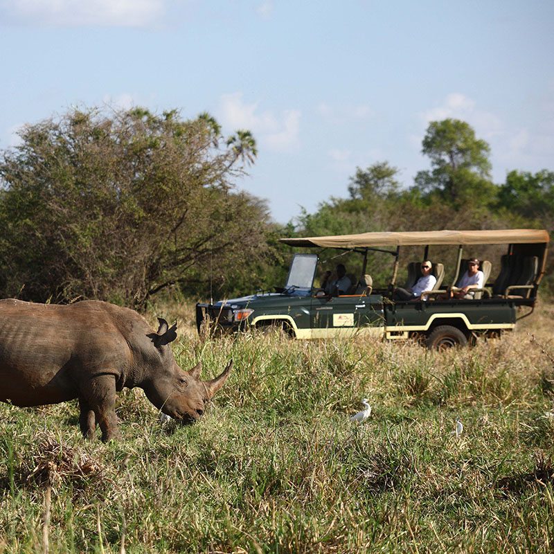 1596785953Safaris-Okavango-Kenya-Parc-Meru-Grid-1