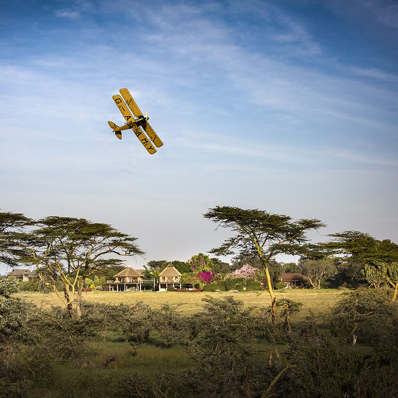 Safaris-Okavango-Kenya-Parc-Laikipia