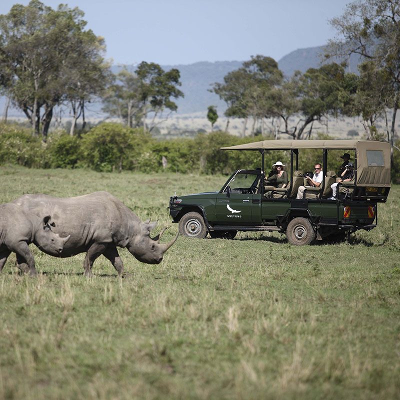 1596786784Safaris-Okavango-Kenya-Masai-Mara-Galerie-3