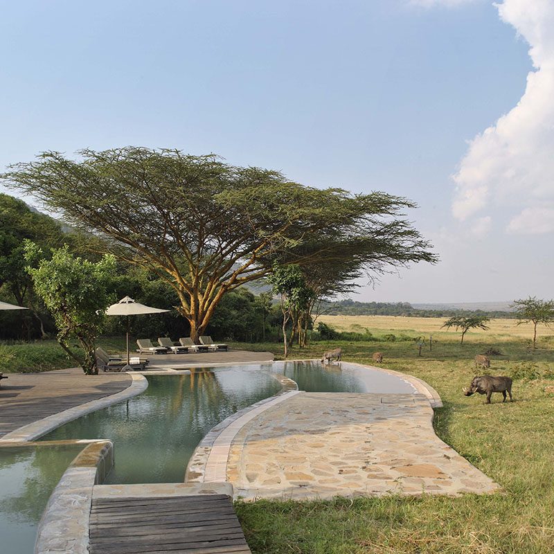 1596786784Safaris-Okavango-Kenya-Masai-Mara-Galerie-4