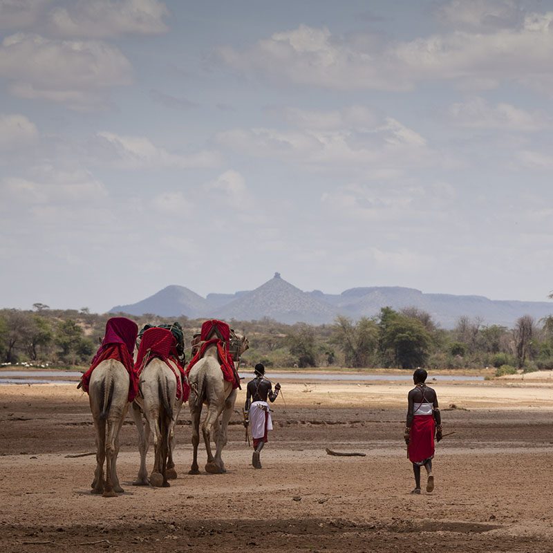 1596787152Safaris-Okavango-Kenya-reserve-samburu-et-shaba-Galerie-4