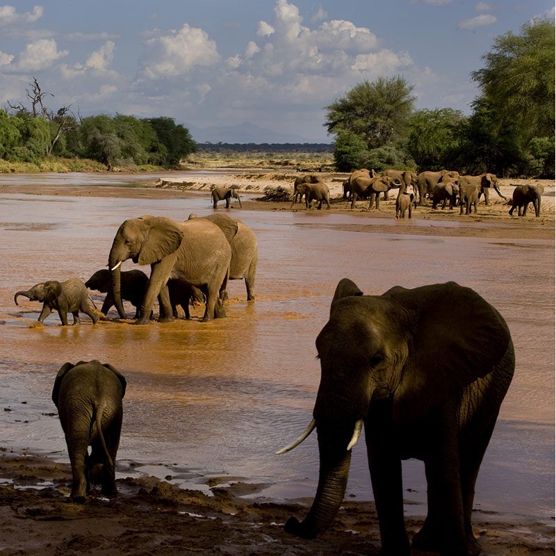 1596787152Safaris-Okavango-Kenya-reserve-samburu-et-shaba-grid-2