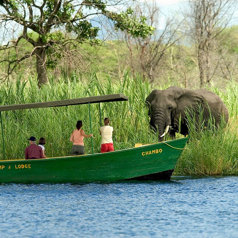 Safaris-Okavango-malawi-parc-liwonde-galerie-4