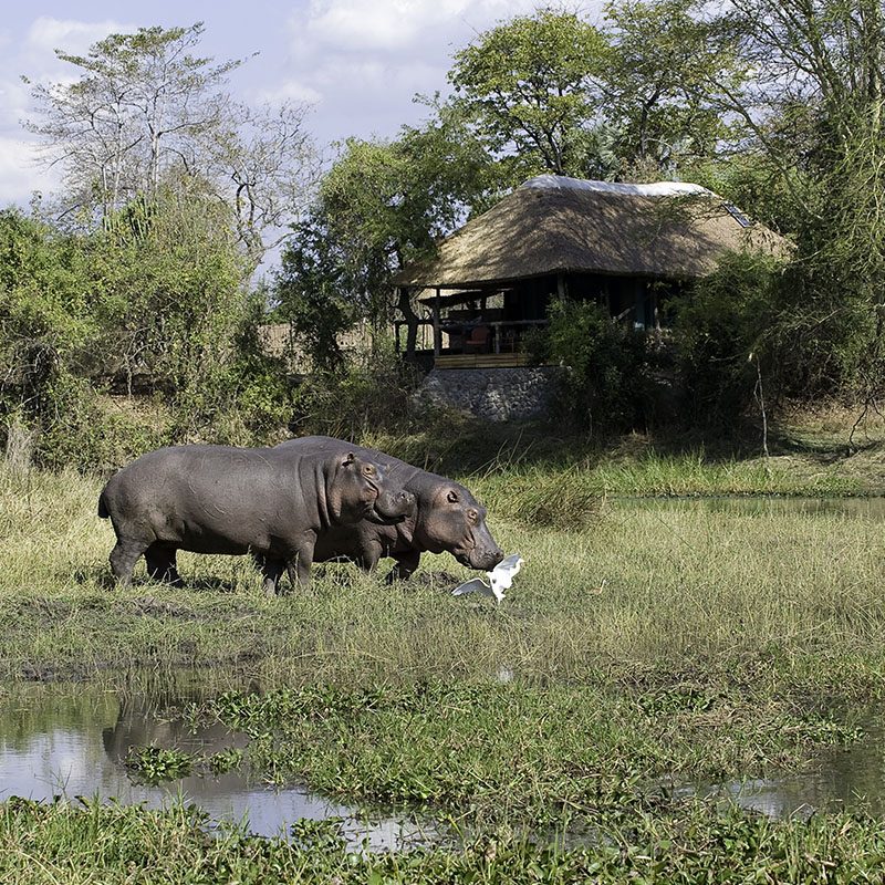 Safaris-Okavango-malawi-parc-liwonde-grid-2