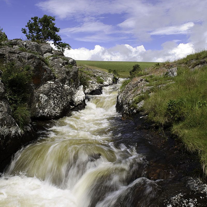 Safaris-Okavango-malawi-plateau-Nyika-galerie-4