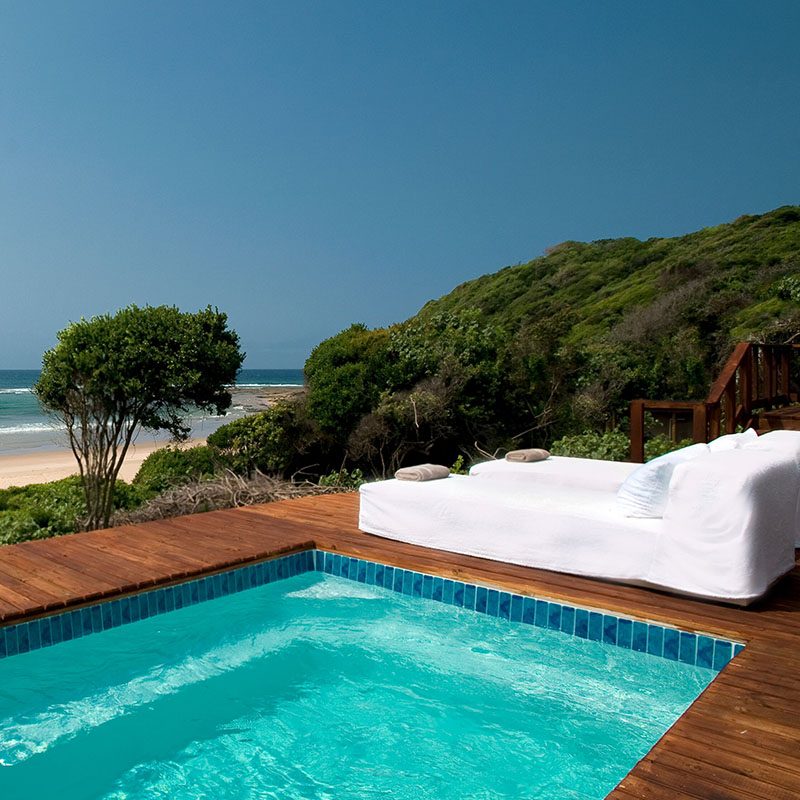 Safaris-Okavango-mozambique-ponta-mamoli-galerie-5