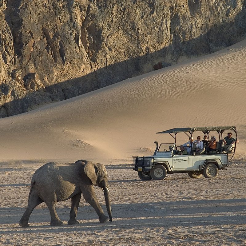 Safaris-Okavango-namibie-damaraland-galerie-4