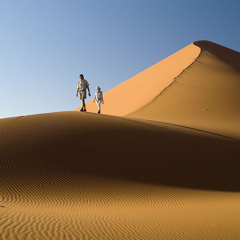 1596798411Safaris-Okavango-namibie-desert-du-namib-galerie-1