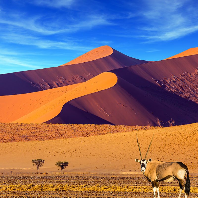 Safaris-Okavango-namibie-desert-du-namib-grid-3
