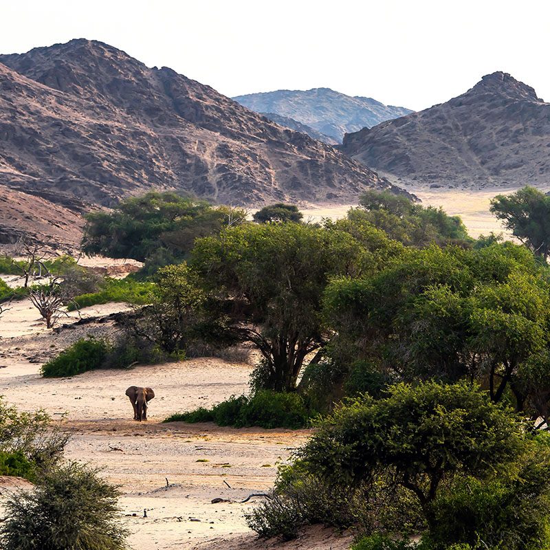 Safaris-Okavango-namibie-kaokoland-galerie-4