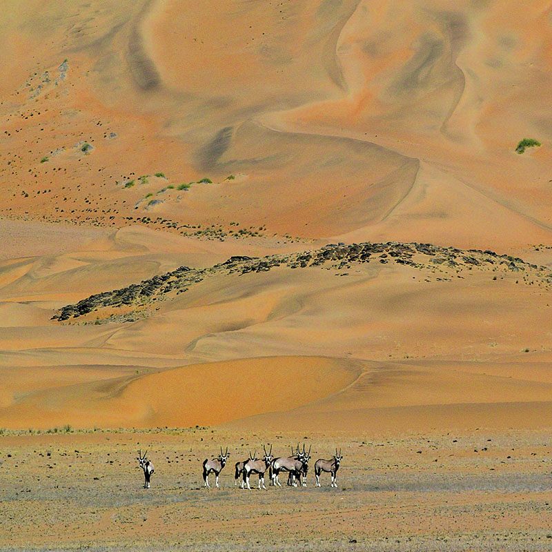 Safaris-Okavango-namibie-kaokoland-grid-2