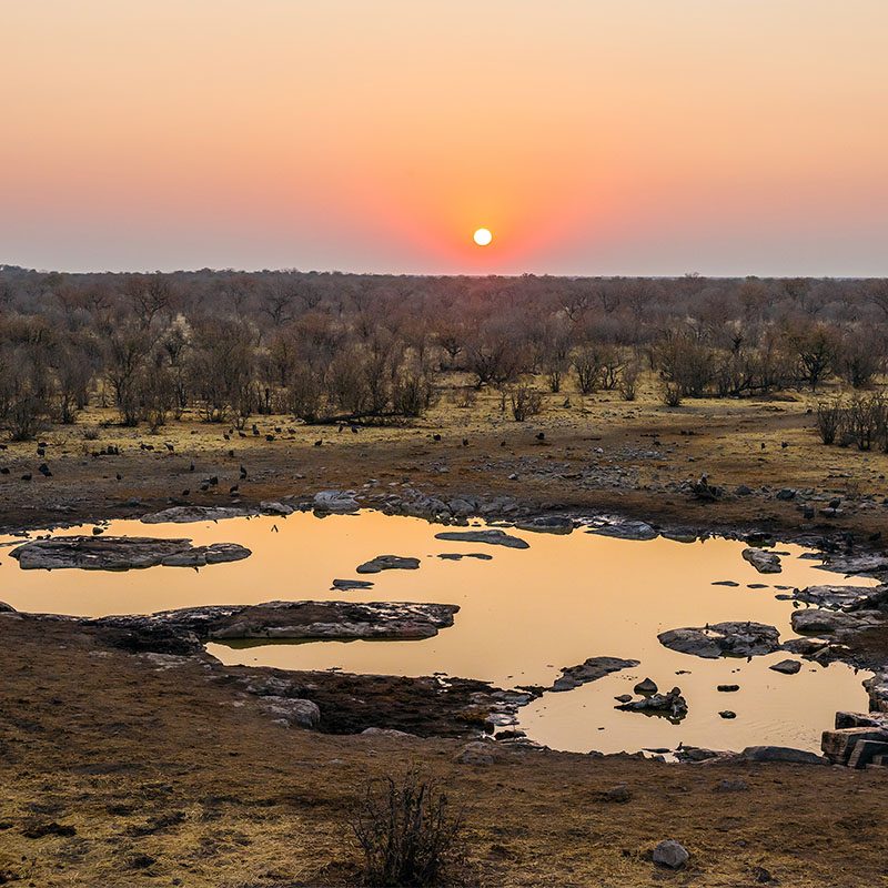 Safaris-Okavango-namibie-parc-etosha-galerie-3