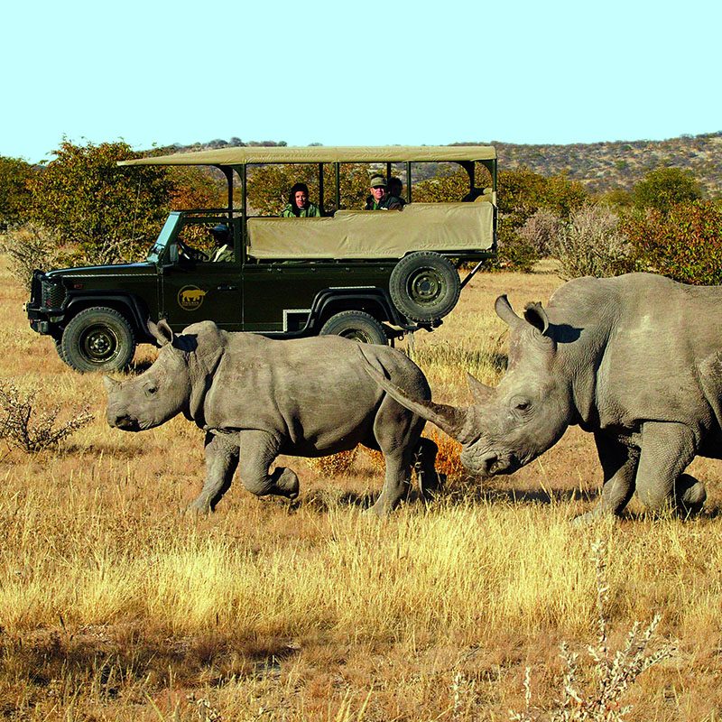 Safaris-Okavango-namibie-reserve-ongava-grid-1