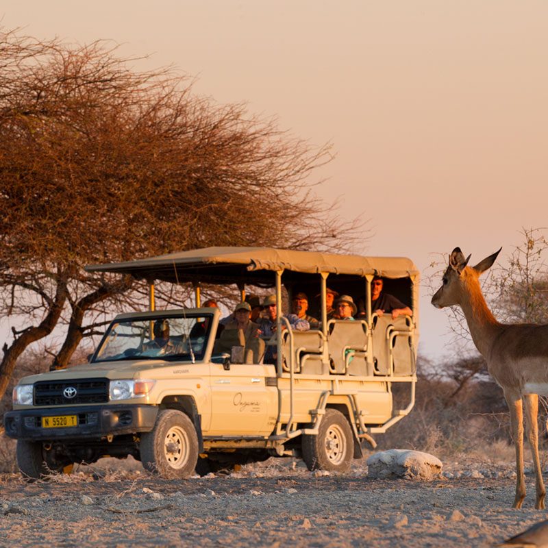 Safaris-Okavango-namibie-reserve-ouguma-galerie-3