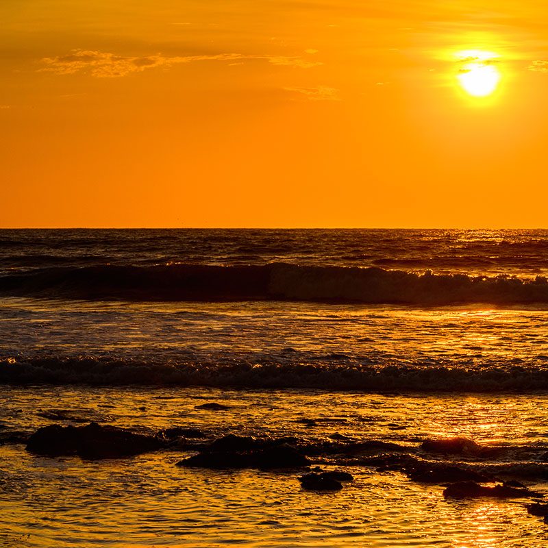 1596804267Safaris-Okavango-namibie-swakopmund-galerie-2
