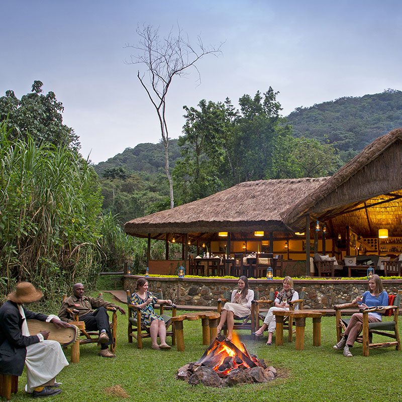 1596864096Safaris-Okavango-ouganda-parc-bwindi-galerie-2