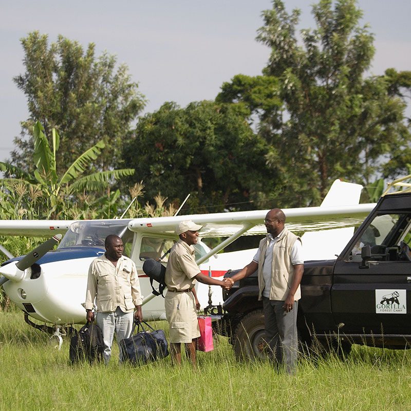 1596864096Safaris-Okavango-ouganda-parc-bwindi-galerie-3