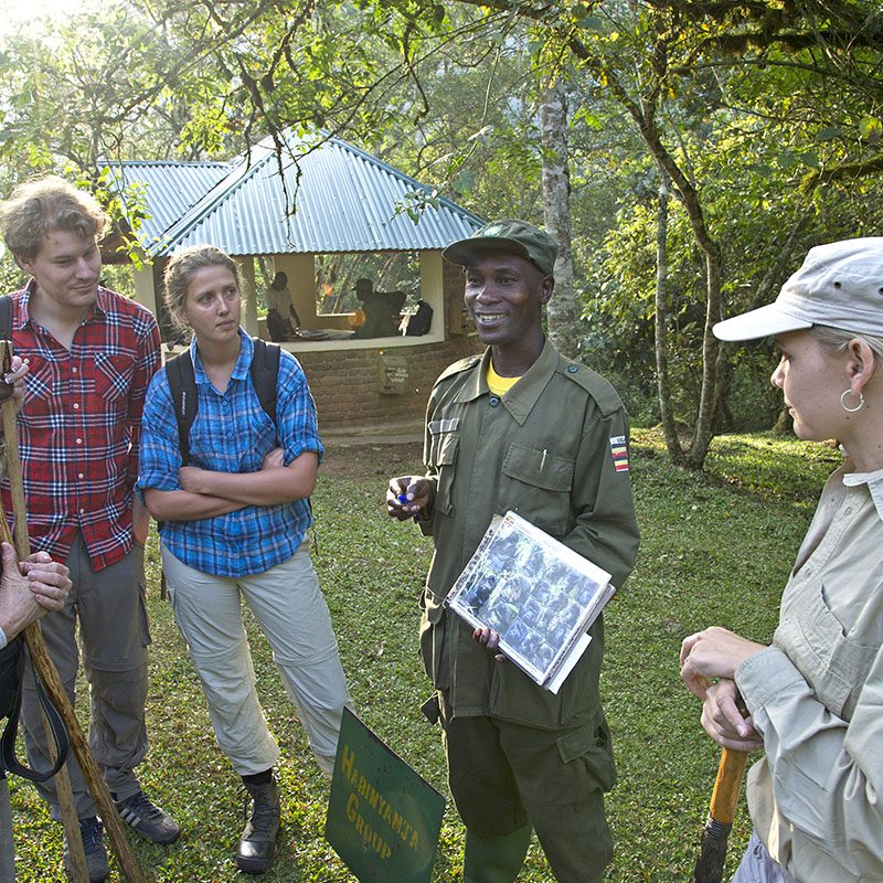 1596864096Safaris-Okavango-ouganda-parc-bwindi-galerie-4