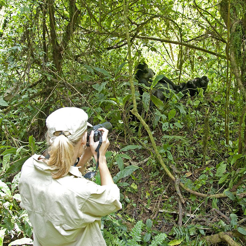 1596864096Safaris-Okavango-ouganda-parc-bwindi-galerie-5