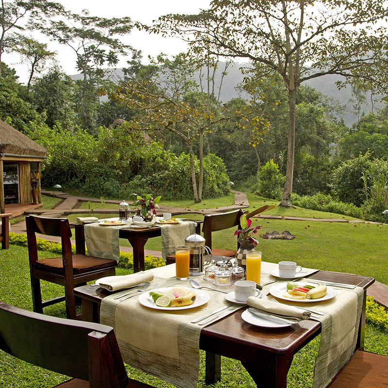 1596864097Safaris-Okavango-ouganda-parc-bwindi-grid-1