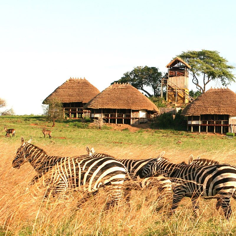 1596864714Safaris-Okavango-ouganda-parc-kidepo-valley-galerie-3