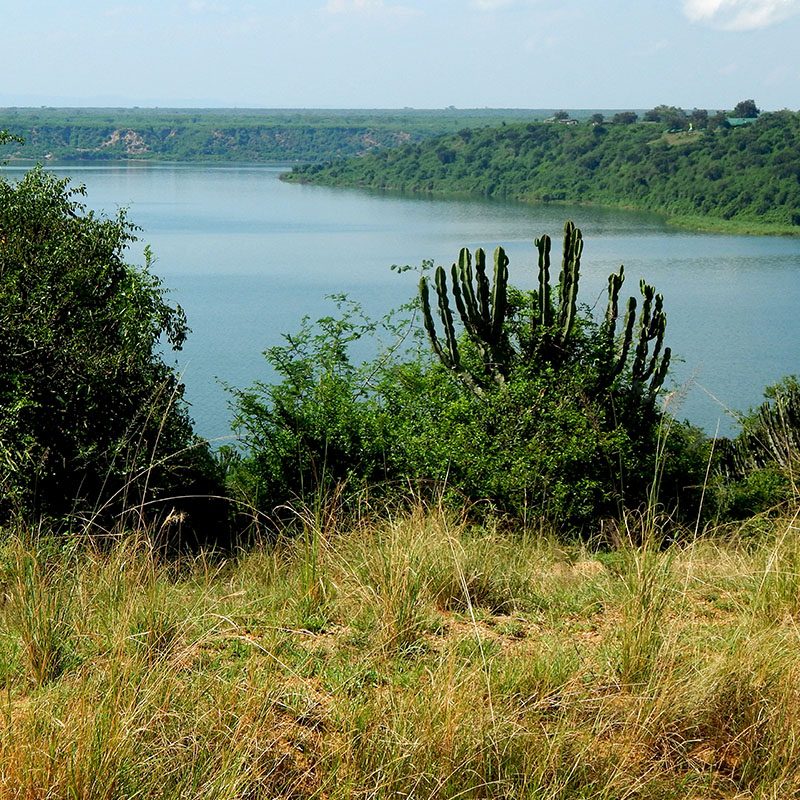 1596865914Safaris-Okavango-ouganda-parc-lac-mburo-galerie-5