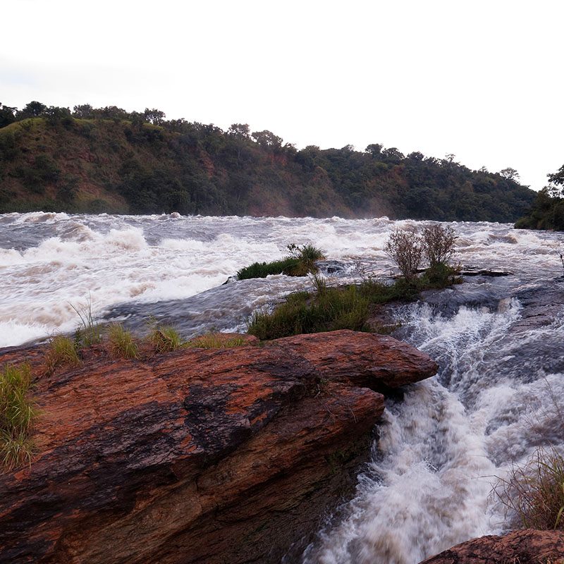 1596866323Safaris-Okavango-ouganda-parc-murshinson-falls-galerie-3