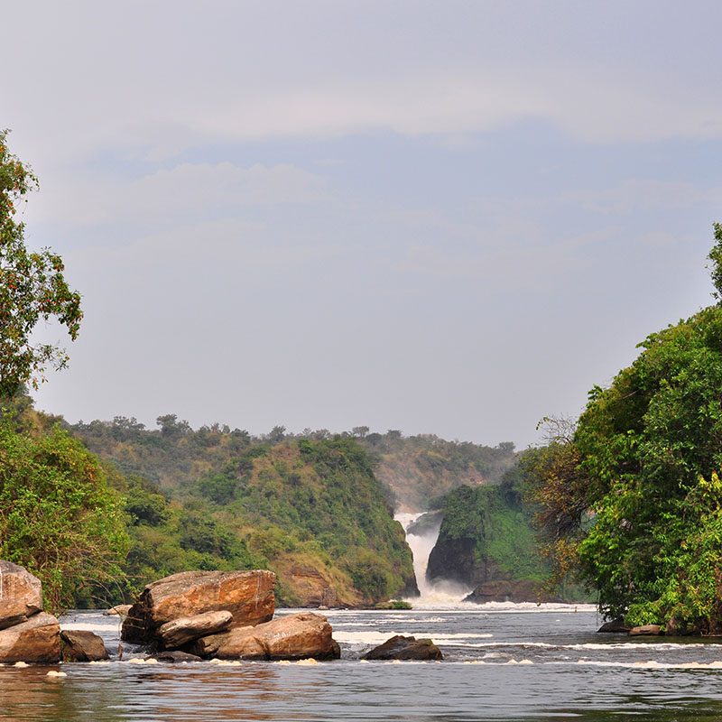 1596866323Safaris-Okavango-ouganda-parc-murshinson-falls-grid-2