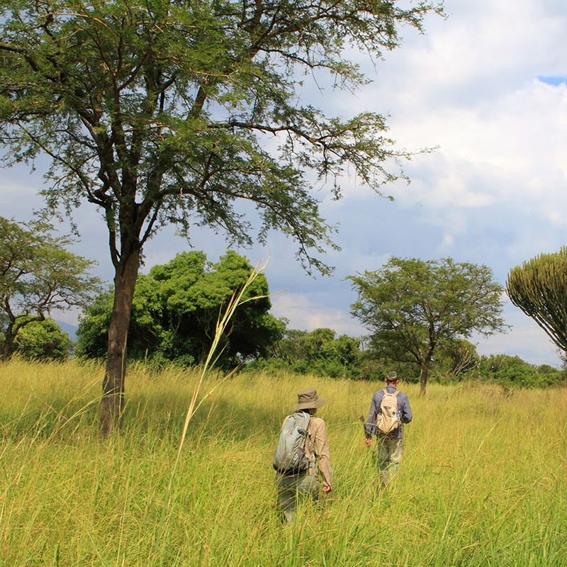 Safaris-Okavango-ouganda-reserve-semliki-galerie
