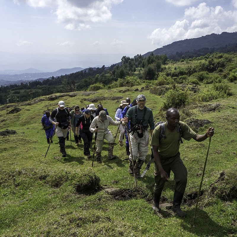 Safaris-Okavango-rwanda-parc-des-volcans-galerie