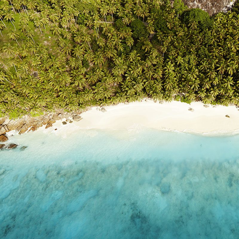 Frégate Island - Seychelles
