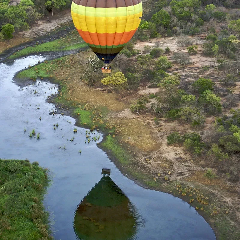 Safaris-Okavango-Afrique-du-sud-kapama