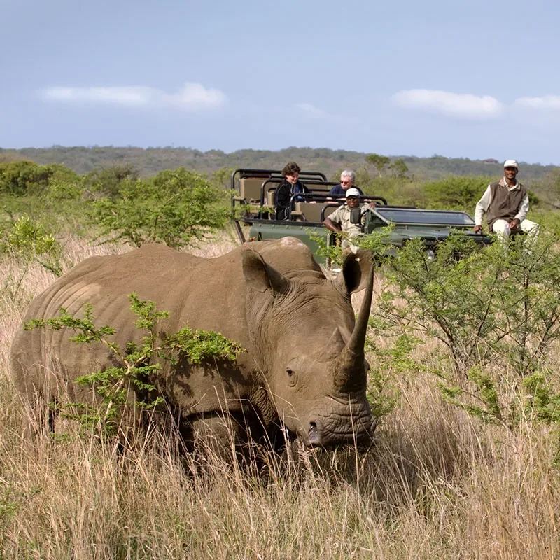 Safaris-Okavango-Afrique-du-sud-reserve-phinda