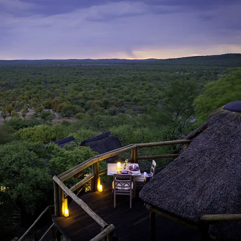 Safaris-Okavango-namibie-ongava