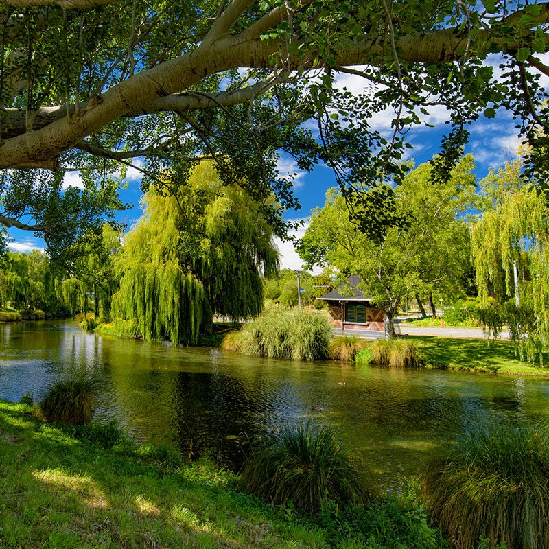 Safaris-Okavango-nouvelle-zelande-christchurch-grid-2 (5)