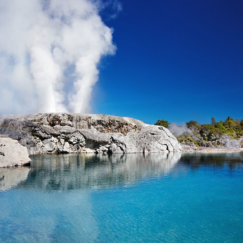 Safaris-Okavango-nouvelle-zelande-rotorua-galerie-4 (9)