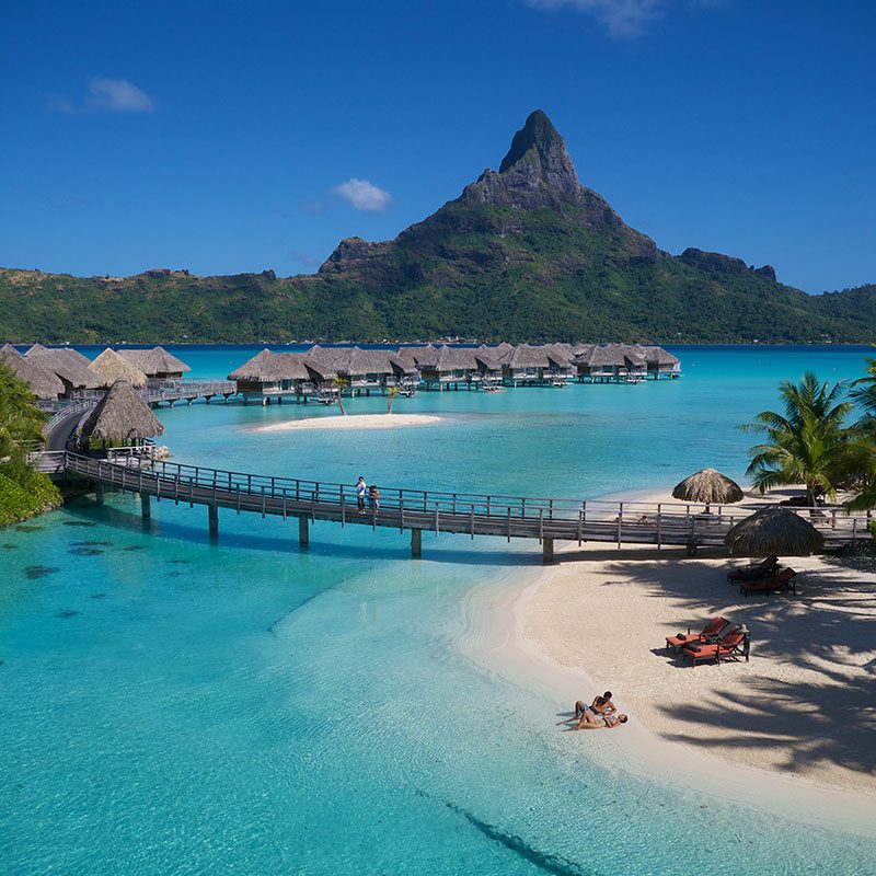 Safaris-Okavango-polynesie-bora-bora-galerie-3 (4)