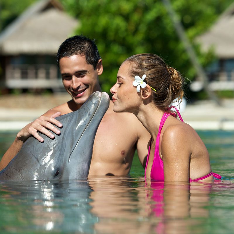 Safaris-Okavango-polynesie-moorea-grid-1 (3)