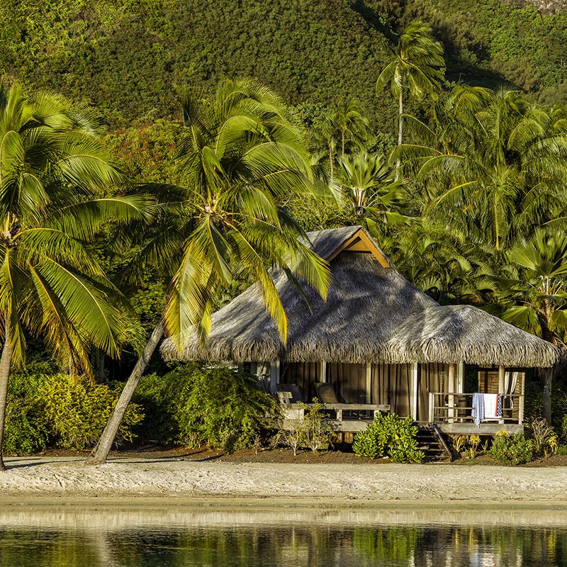 Safaris-Okavango-polynesie-moorea-grid-1 (5)