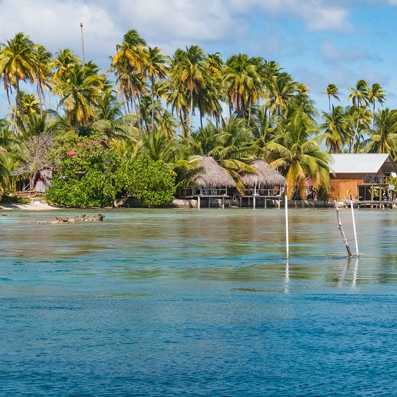 Safaris-Okavango-polynesie-tahaa-galerie-6 (4)