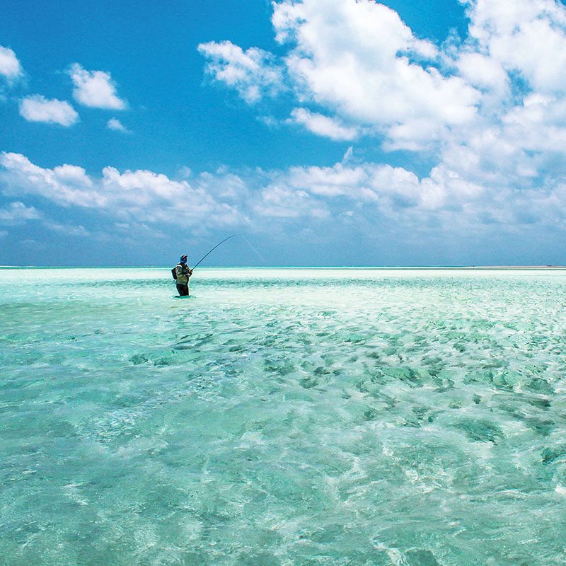 Safaris-Okavango-seychelles-alphonse-island