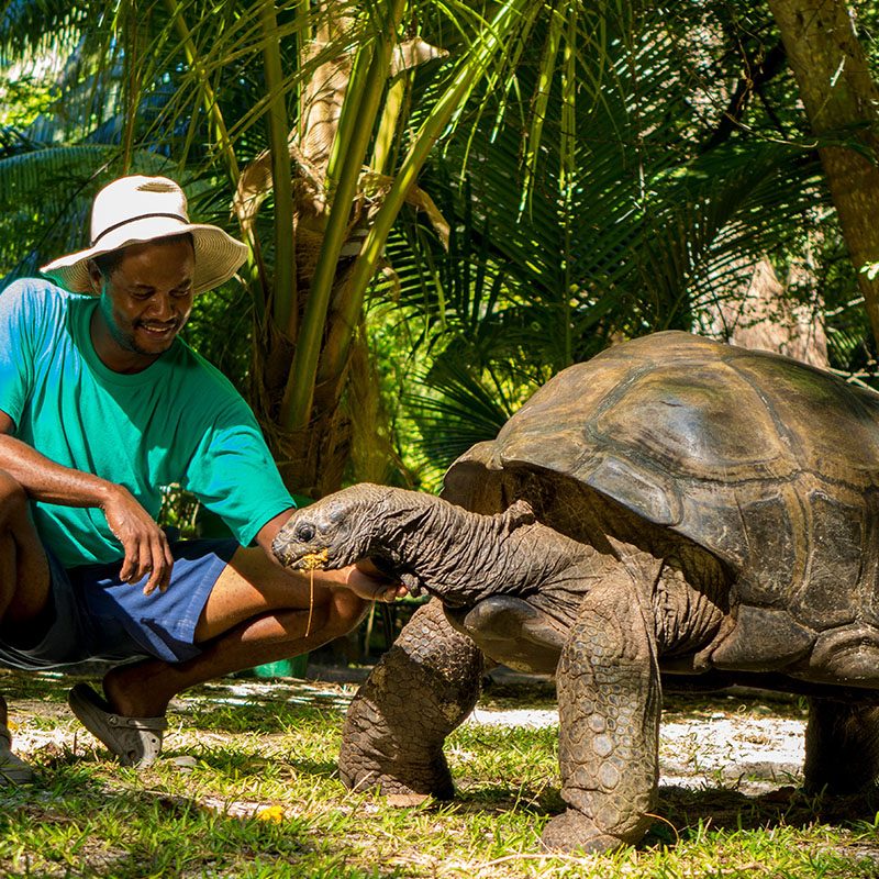 Safaris-Okavango-seychelles-denis-island-galerie-6