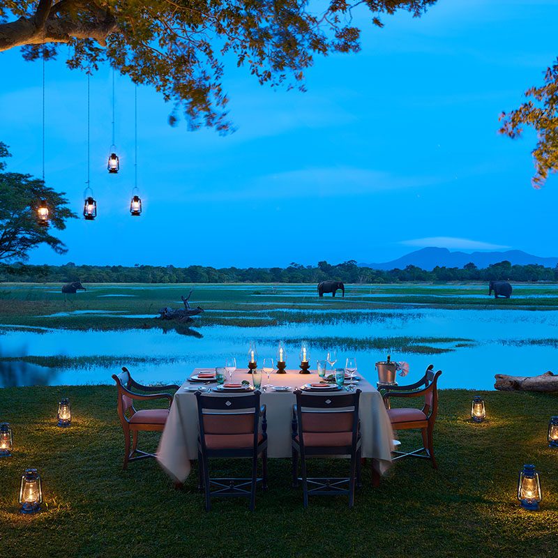 Safaris-Okavango-sri-lanka-triangle-culturel