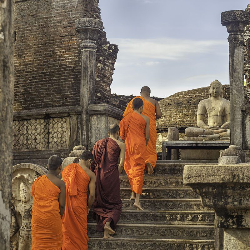 Safaris-Okavango-sri-lanka-triangle-culturel