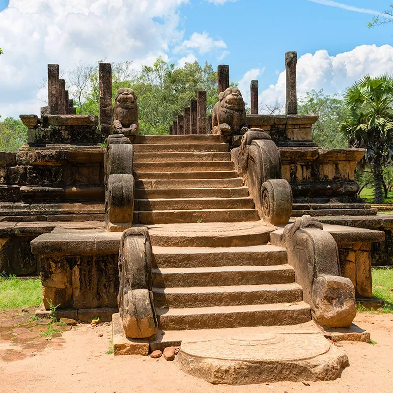 Safaris-Okavango-sri-lanka-triangle-culturel