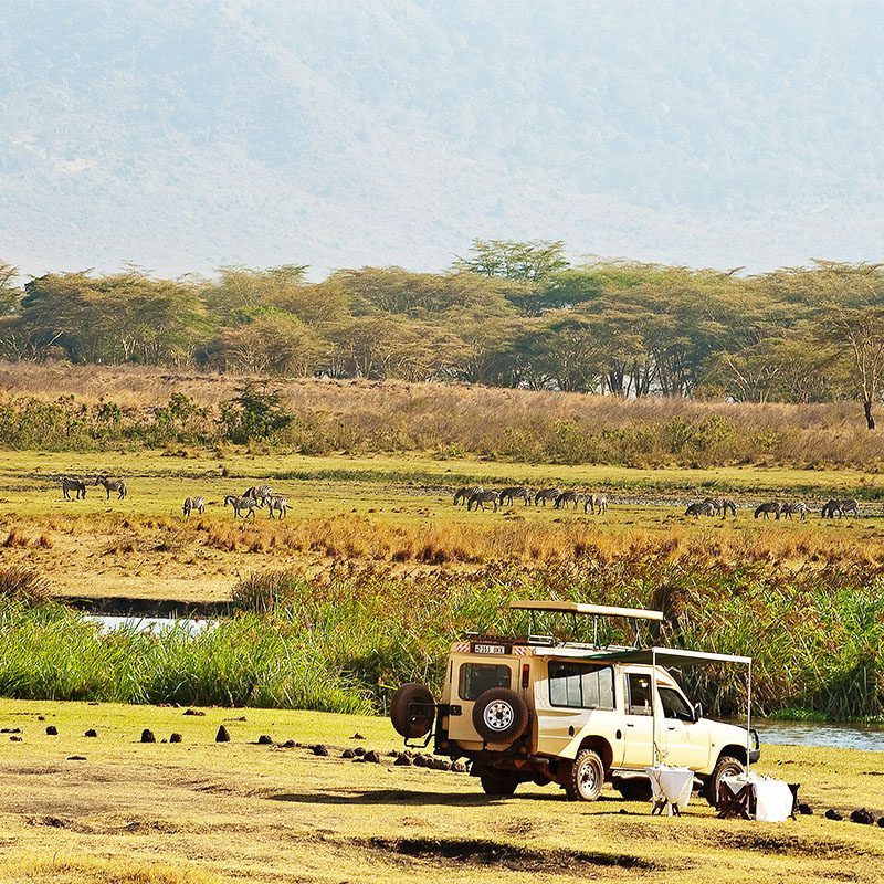 Safaris-Okavango-tanzanie-cratere-du-NGorongoro-grid-3 (1)