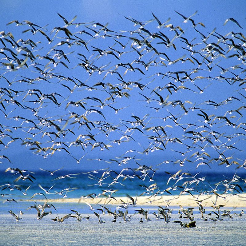 Safaris-Okavango-tanzanie-ile-de-zanzibar-grid-2