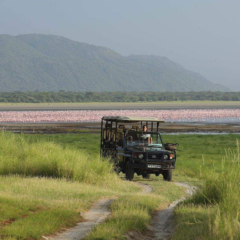 Safaris-Okavango-tanzanie-parc-lac-manyara-galerie-2