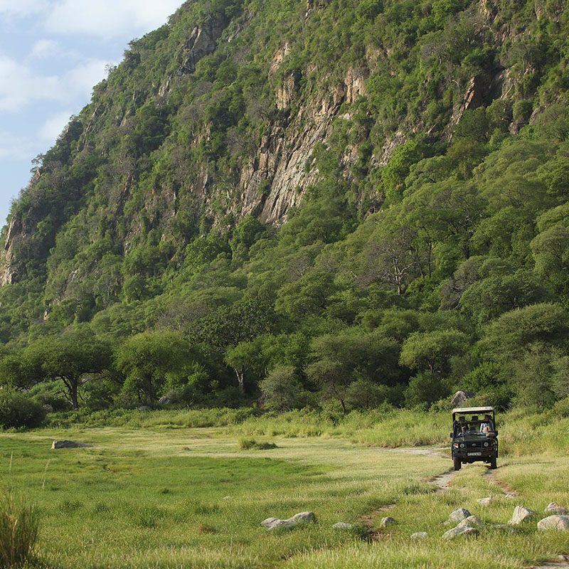 Safaris-Okavango-tanzanie-parc-lac-manyara-galerie-3